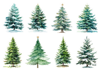 Obraz premium Diverse watercolor Christmas trees.