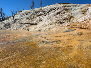 Scenic landscape view of the colourful mineral deposits on Travertine Terraces at the Mammoth Hot Springs in Yellowstone National Park. No people.