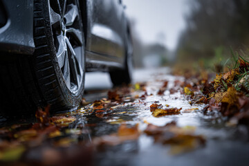 Close-up of car tire on wet road surrounded by colorful autumn leaves in a rainy atmosphere