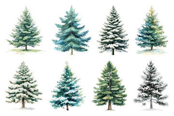 Watercolor evergreen trees winter