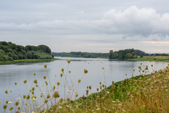 Serene Landscape of a Loire Riverbank in France on a Cloudy August Day