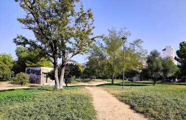 Photo of Plato’s Academy Park in Akadimia Platonos neighborhood of Athens, Greece. The area is named after the world’s first university, the Platonic Academy.