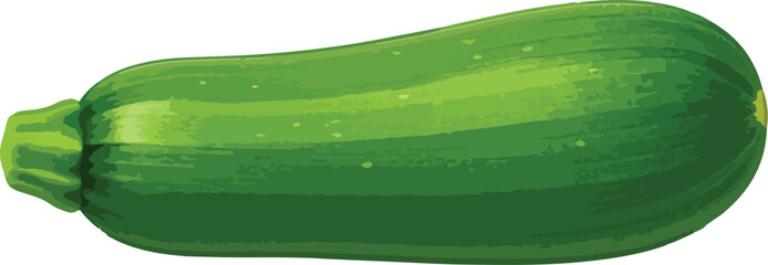 Green zucchini vegetable isolated on white background