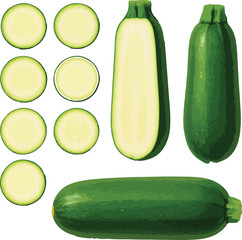 Green zucchini whole sliced and cut cross sections