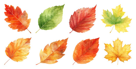 Fototapeta premium PNG Colorful autumn leaves illustration, element set on transparent background