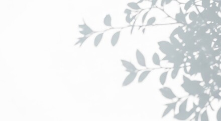 White golf ball isolated on transparent background