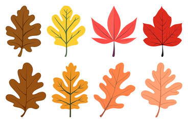 Naklejka premium PNG Colorful autumn leaves illustration, element set on transparent background