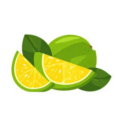 Fresh Lime and Lemon Slices with Green Leaves Display. isolated on transparent background.