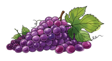 Obraz premium A bunch of fresh grapes with a green leaf, ideal for healthy eating, winemaking, and illustrating natural food products.