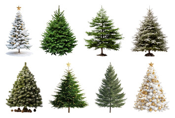 Obraz premium PNG Diverse Christmas tree collection, element set on transparent background