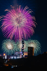 水戸偕楽園花火大会の夜空を彩る大輪の花