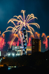 水戸偕楽園花火大会の夜空を彩る大輪の花