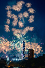 水戸偕楽園花火大会の夜空を彩る大輪の花