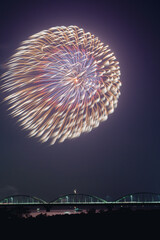 第126回水郷おみがわ花火大会