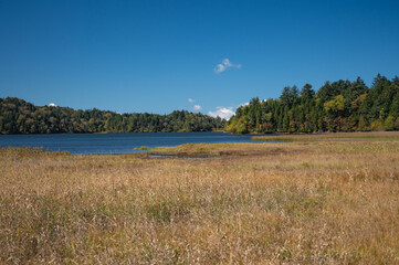草紅葉の尾瀬ヶ原
