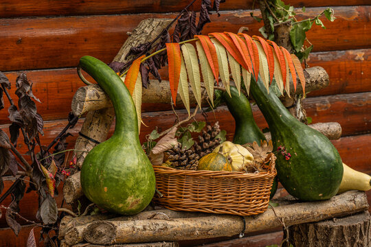 Rustic autumn decoration with pumpkins and pinecones in front of a log cabin
