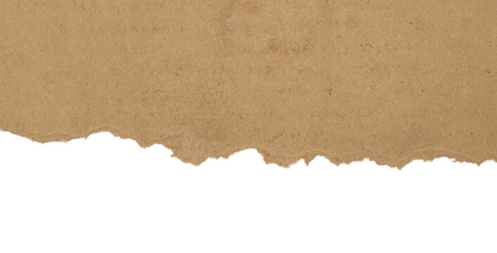 ripped at a brown recycled paper isolated on a white background, torn brown cardboard on a transparent background.