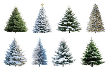 Fototapeta premium PNG Diverse snowy Christmas trees collection, element set on transparent background