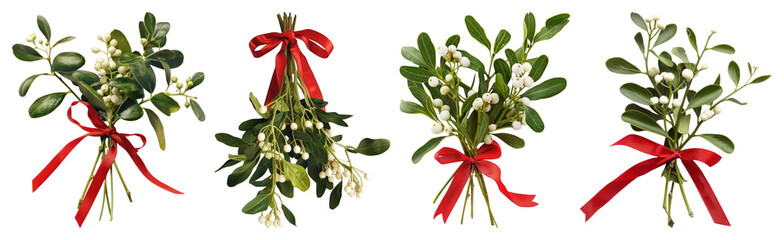 PNG Festive mistletoe with red ribbons, element set on transparent background