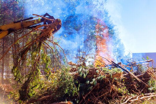 Large machine removes branches trees, with smoke billowing from fire in forest clearing on deforester day
