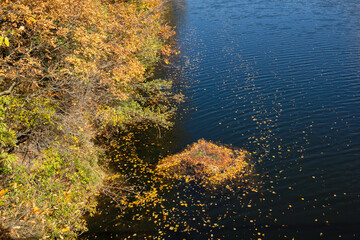 Autumn landscape of Pasarel reservoir, Bulgaria