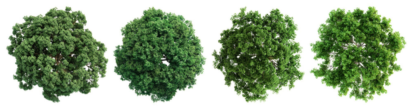 PNG Lush green trees top-view, element set on transparent background