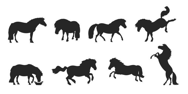A set of vector silhouettes with Shetland ponies