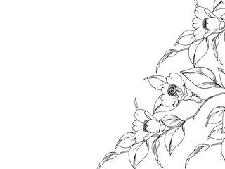ペンで描いた椿の枝のフレーム
