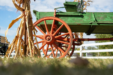 Antique horse-drawn buggy in bold green and orange in a fall harvest display, surrounded by corn stalks, fallen leaves, and picket fence&mdash;a nod to seasonal Americana. Thanksgiving and Halloween concept