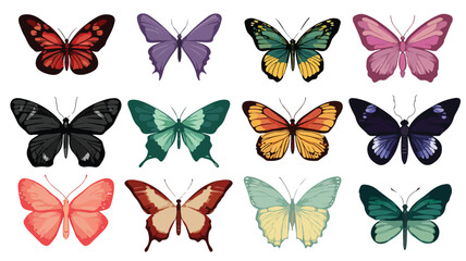 Vibrant Collection of Colorful Butterflies for Various Designs