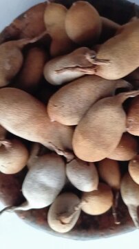 close up of Tamarind (Tamarindus indica)