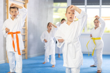 Obraz premium Kids during karate training. Martial arts. Sport, active lifestyle concept