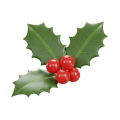Holly leaves and berries on black background on transparent background