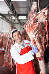 Adult butcher shop worker hanging slabs of fresh raw beef meat on hook frame in cold storage room