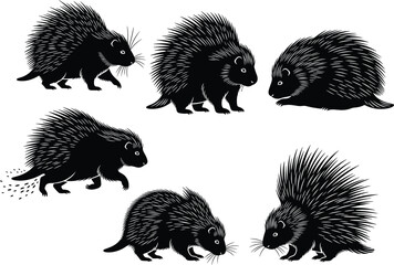 WebBlack silhouette illustrations of porcupines in varied poses &ndash; walking, sniffing, releasing quills &ndash; stylized wildlife anatomy and defensive behavior reference art