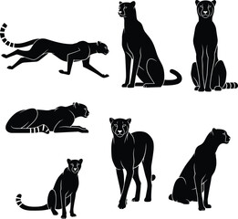 WebCheetah cad drawing flat vector illustration, silhouette, running, crouching, sitting, lying, stalking, upright, relaxed, predator pose, wild animal