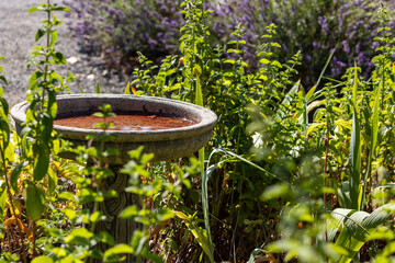 Concrete Birdbath in Late Summer Garden
