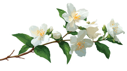 Fototapeta premium branch of a white flower