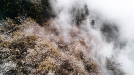 waterfall in the mountains