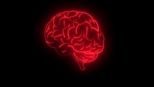 Medical futuristic technology of the neon drawing a man brain on black background. Computer generated icon of the human brain. neon brain thinking with neon light running through,Glowing neon.4K VIDEO