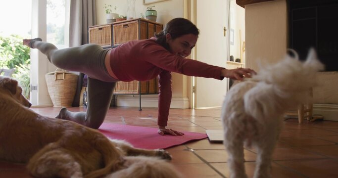 Balancing woman in sportswear extending arm, leg on pink mat at home, with fluffy dog approaching