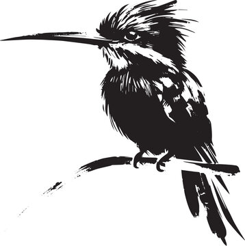 Elegant Jacamar bird perched, captured in minimalist sumi-e style illustration