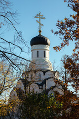 Autumn view of the Church of Tsarevich Alexei in Znamenskaya, Peterhof, with white domes and golden cross framed by colorful trees.