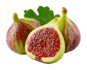 Harvesting fresh figs organic farm food natural light isolated on transparent background