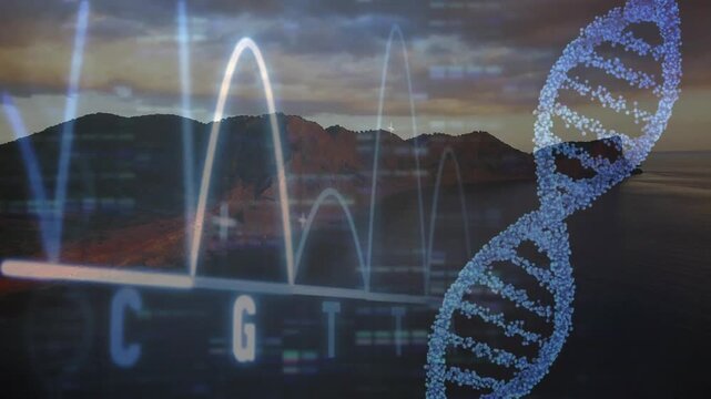 Starting chromatogram on island peaks shifting labels changing with DNA helix showing sequence