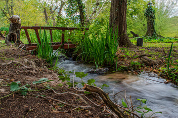 Wooden Bridge Over a Stream in a Lush Forest