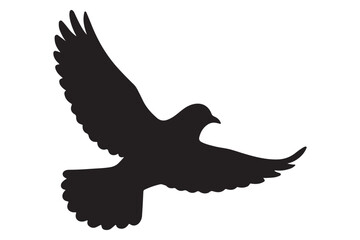 vector illustration of a eagle