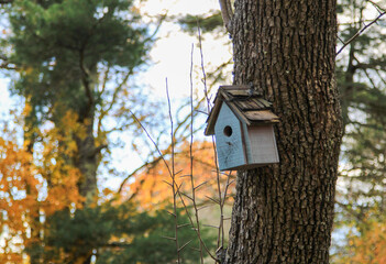 Birdhouse Focus: Muted Autumn Colors and Subtle Fall Foliage in Rural New England
