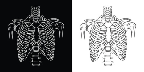Intricate skeleton ribcage design in black and white for Halloween projects