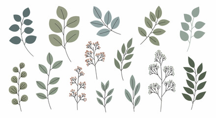 Elegant Floral Branches Vector Design Collection of Botanical Foliage Illustrations
